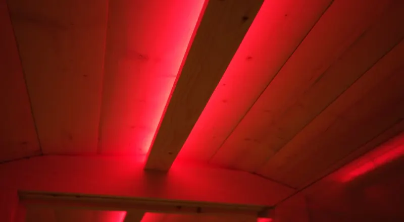 Red LED light along the curved cedar ceiling